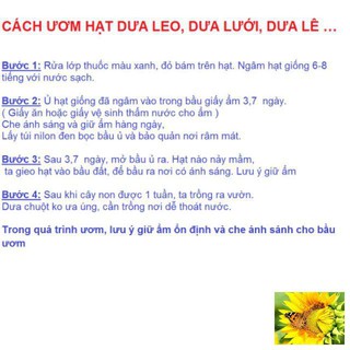 Hạt giống cây Dưa lê vàng Hàn Quốc (10 hạt)