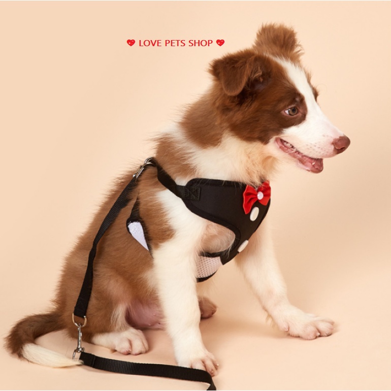 Bộ dây dắt cho Chó Mèo kèm yếm có nơ dễ thương - Love Pets Shop