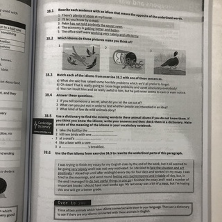 English Idioms in use