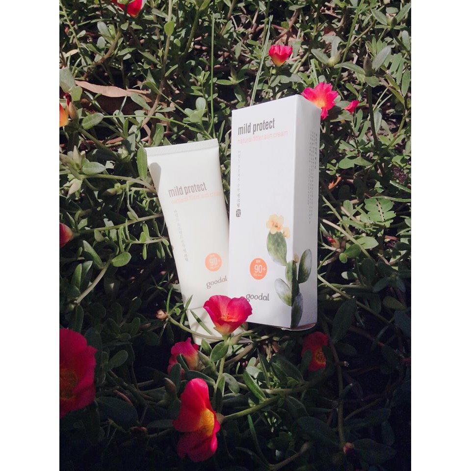 KEM CHỐNG NẮNG GOODAL MILD PROTECT NATURAL FILTER SUN CREAM 50ML