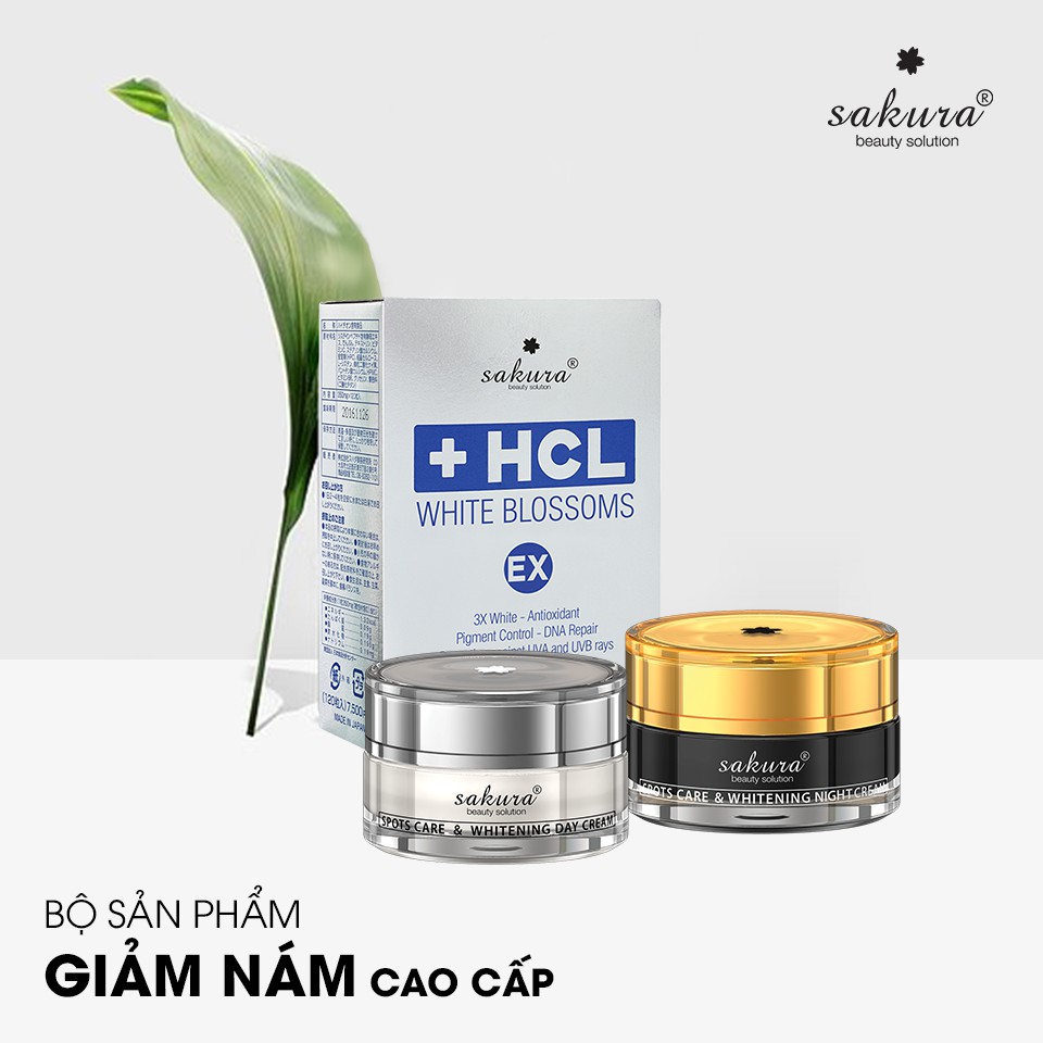 TAM TẤU SAKURA - BỘ BA TẤN CÔNG NÁM CAO CẤP