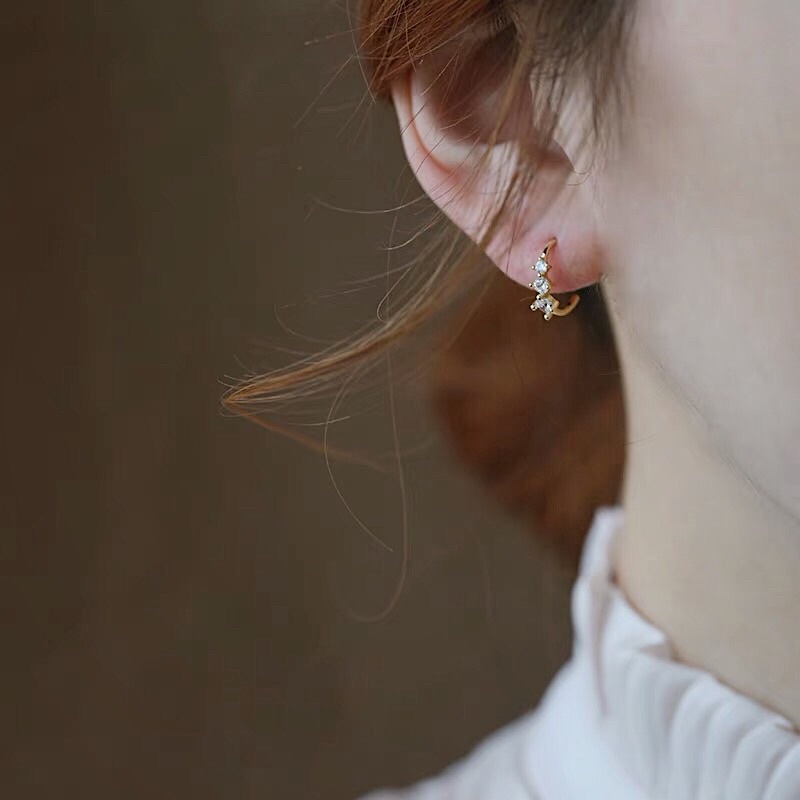 Bông tai Bạc 925 mạ Vàng 14K / LP-E181