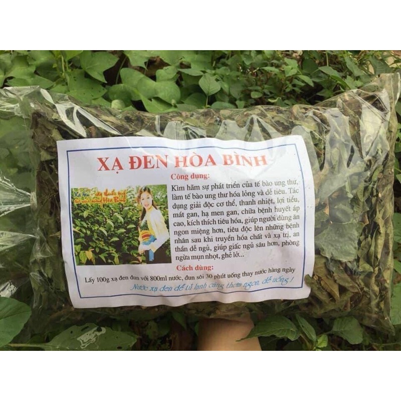 Xạ đen Hoà Bình
