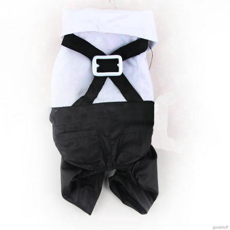 Aó liền quần cho chó nhỏ, Bộ tuxedo cho chó lớn, có nơ