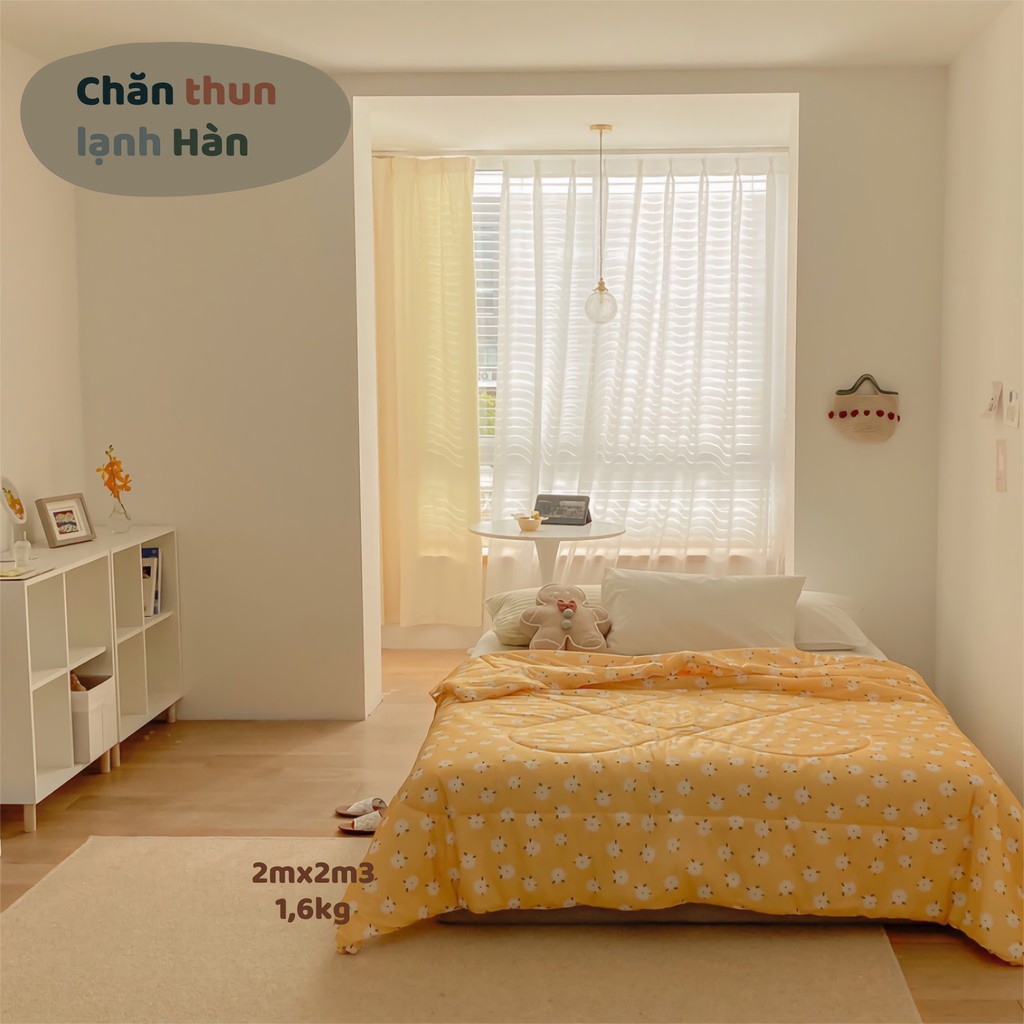 Chăn Thun Lạnh Hè Thu- phong cách Hàn Quốc