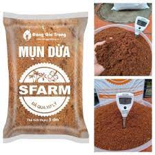 Mụn xơ dừa Sfarm đã qua xử lý bao 5dm³ Giá Thể Trồng Cây Rau Mầm Hoa Cảnh