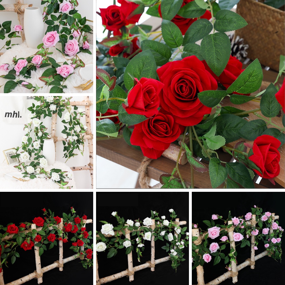 Dây leo hoa hồng nhung đỏ sang trọng