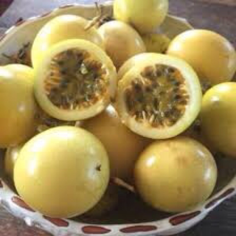 Cây chanh dây vàng
