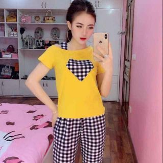 Combo bộ ngu