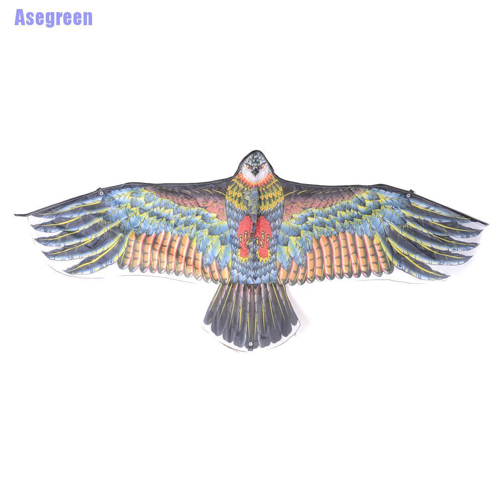 Chú Chim Đại Bàng Cỡ Lớn Độc Đáo