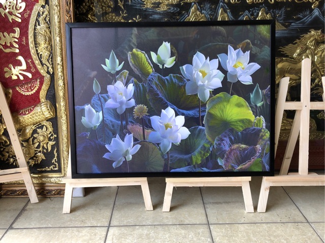 Tranh treo tường  tranh CANVAS , Tranh sơn dầu( tranh vẽ tay)mẫu hoa sen kích thước 60* 80cm( kèm khung cao cấp).