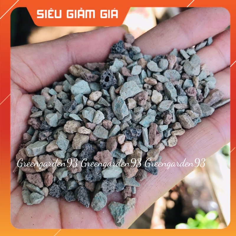 🌺 SALE SỐC 🔥  ĐÁ CẦU VỒNG TRỒNG SEN ĐÁ, XƯƠNG RỒNG, GIÚP SEN ĐÁ LÊN MÀU CỰC ĐẸP