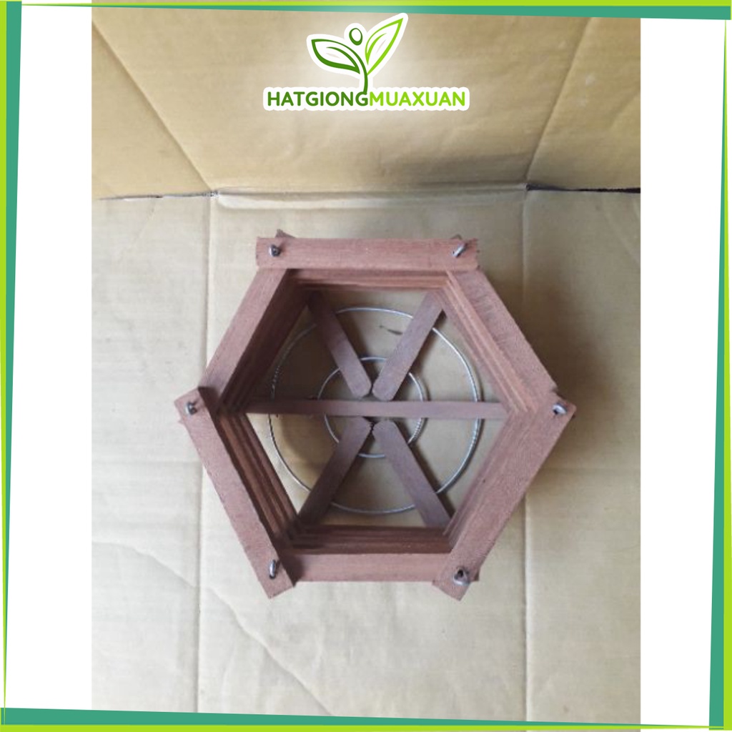 [SIEURE] chậu gỗ lục giác trồng lan size 18 hàng đẹp, phân phối chuyên nghiệp.