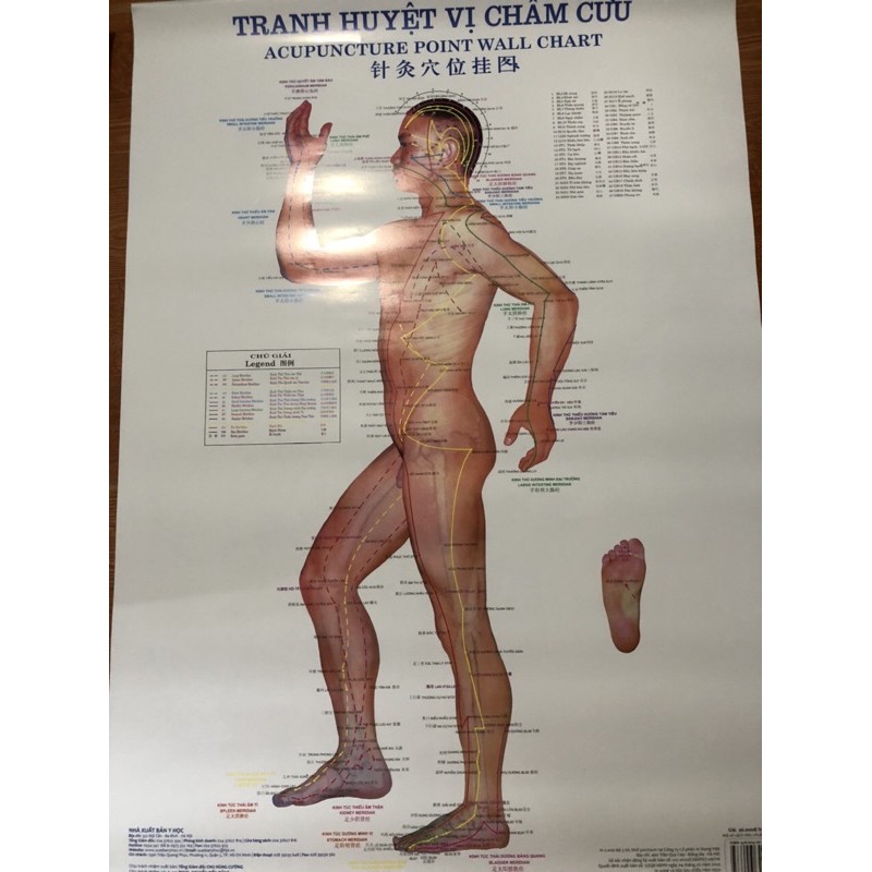 Bộ tranh châm cứu 3 tờ kích thước 50x70cm