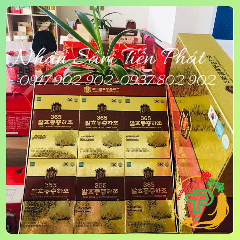 Hồng Sâm Đông Trùng Hạ Thảo Hàn Quốc - Hộp 60 gói