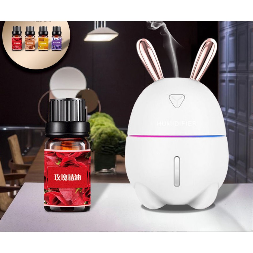 [TRỢ GIÁ] Combo 2 Chai Tinh Dầu Thiên Nhiên Xông Phòng Nguyên Chất Siêu Thơm Khách Được Tự Do Chọn Mùi