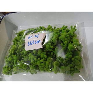 Mốc khóa gấu đủ loại mini