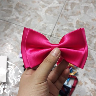 Nơ Mèo cho chú rể