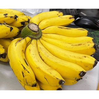 Chuối Laba tiến vua