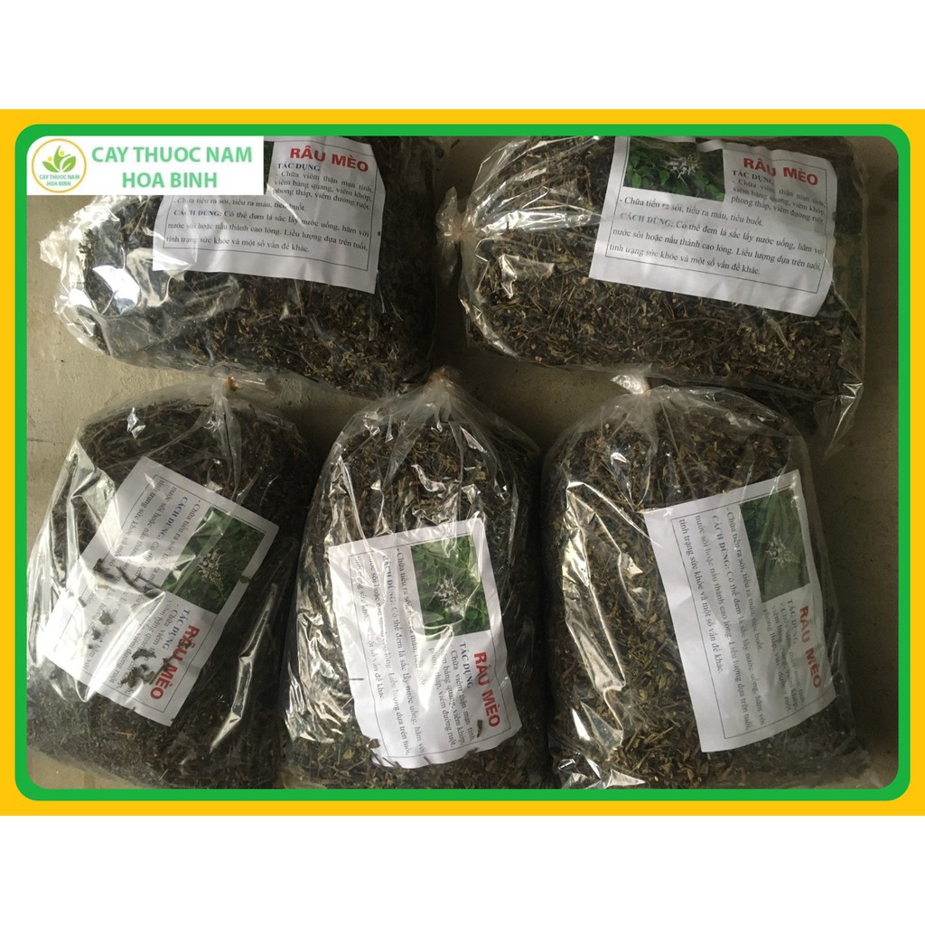 100g CÂY RÂU MÈO HÒA BÌNH