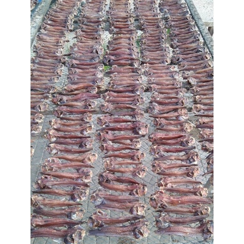 KHÔ CÁ THÒI LÒI ĐẶC SẢN CÀ MAU 1000gr