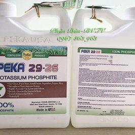 Phân bón lá PeKa nhập khẩu từ Mỹ,giúp kích nhiều nụ,to nụ,kích hoa,to trái,bóng lá chai 500ml