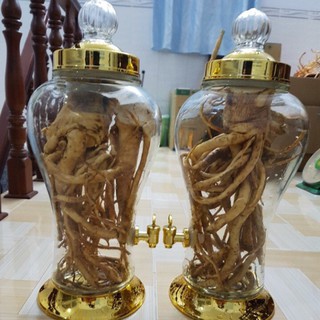 Bình thủy tinh ngâm sâm, đinh lăng, hoa quả 4L