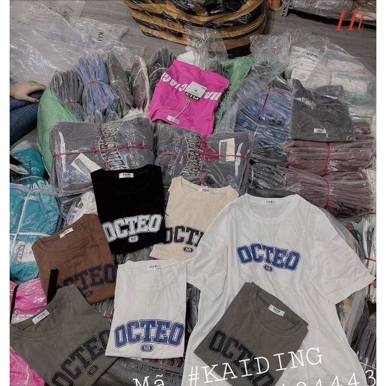 Áo phông chữ Octeo H2A688