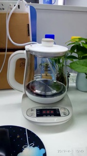 [FREESHIP 99K]_D458 ấm trà #bear 0.8 lít/ ấm trà mini