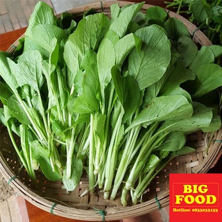 Cải ngọt - 1kg