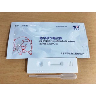 QUE THỬ THAI CHO HEO -QUE THỬ THAI CHO LỢN ĐỘ CHÍNH XÁC CAO 95%