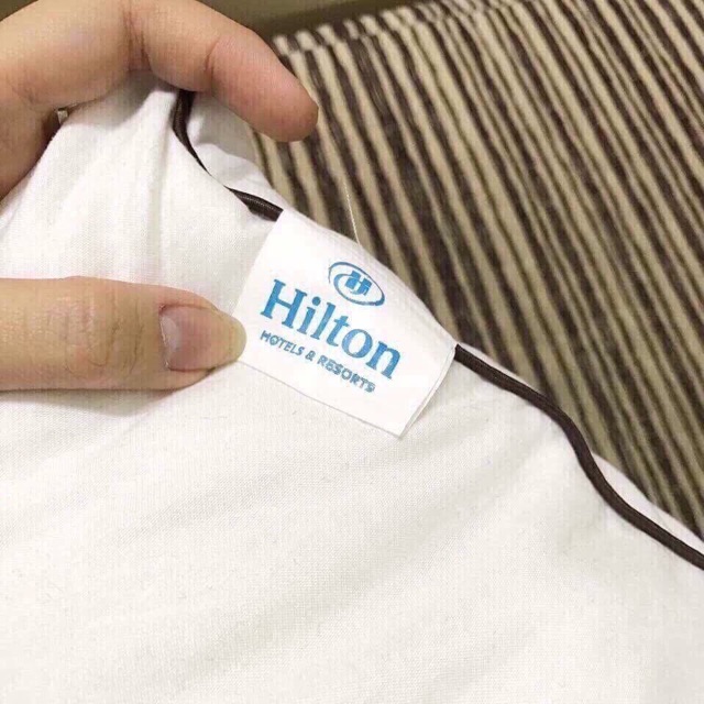 2 ruột gối có khoá cao cấp Pillow tiêu chuẩn khách sạn Hilton + 2 vỏ gối (màu ngẫu nhiên)