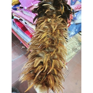 CHỔI LÔNG GÀ -HÀNG VN