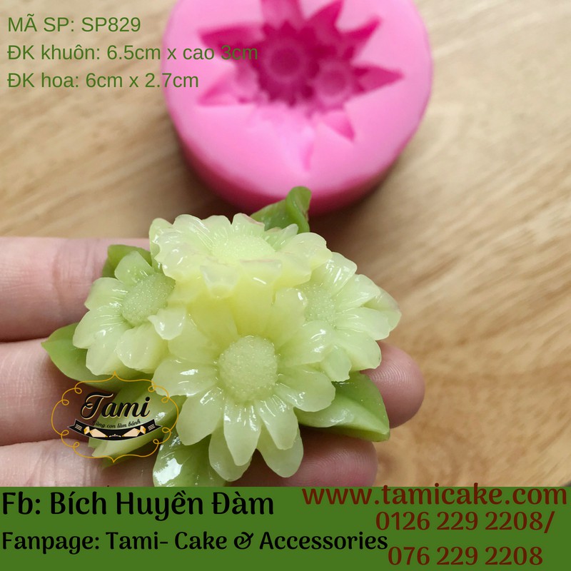 Khuôn silicon rau câu hoa nổi- Cúc Họa Mi | BigBuy360 - bigbuy360.vn