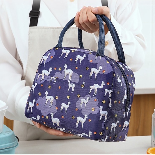 Túi đựng hộp cơm đa năng kích thước 20x23x14 AGISAN