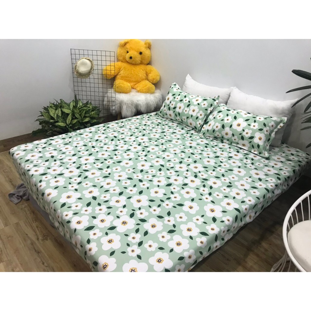 Bộ ga chun và 2 áo gối nằm Emmidecor - mẫu hoa bèo, drap cotton poly