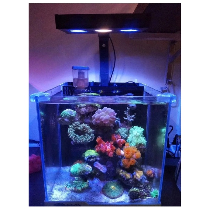 Đèn Aqua Knight M029 cho hồ cá biển - Đèn M029 chuyên dụng cho hồ nước mặn - phụ kiện cá biển - shopleo