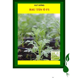 20G - Hạt Giống Rau Tần Ô