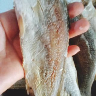 Khô cá lù đù, cá lưỡi trâu