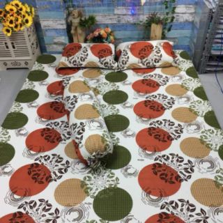 Combo 2 bộ Drap Thun Hàn Quốc