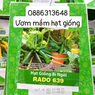 Hạt giống Bí ngòi xanh (1g)