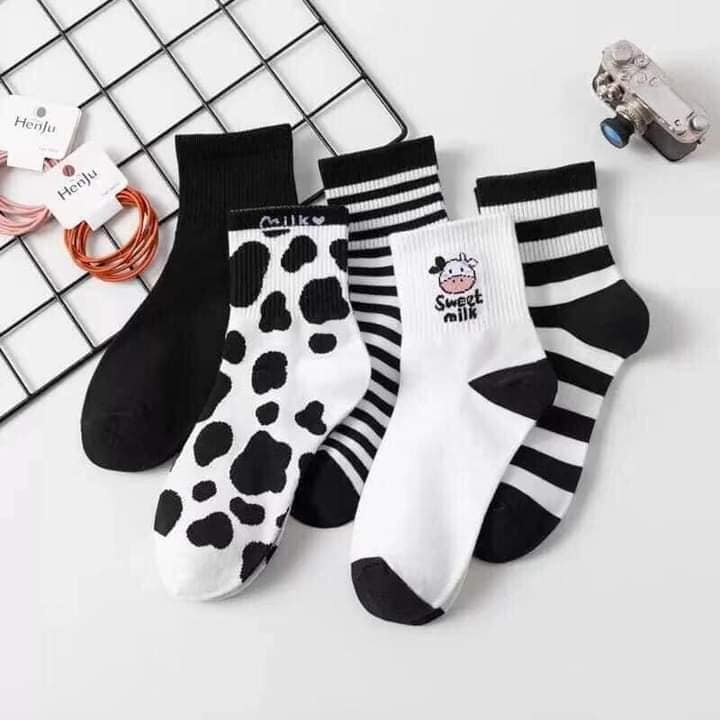 Set 5 đôi tất hình quả bơ cao cổ, vớ quả bơ dễ thương cotton thoáng mát