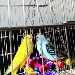 Đồ chơi treo cho chim / vẹt