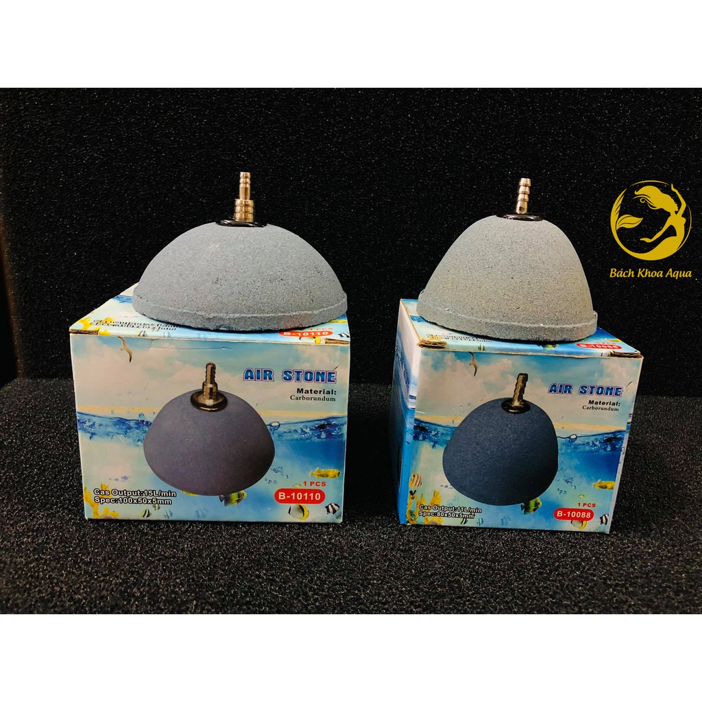 Quả sủi hình nón cho bể cá