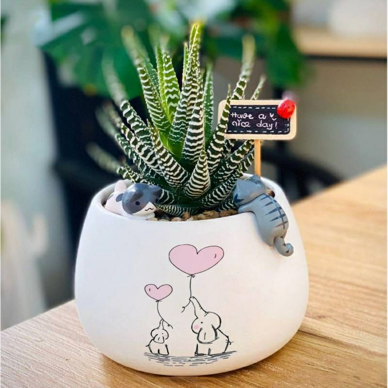 Bảng tên đen trang trí tiểu cảnh, thủy sinh, terrarium, chậu cây cảnh, sen đá, bánh kem, xương rồng, cẩm nhung