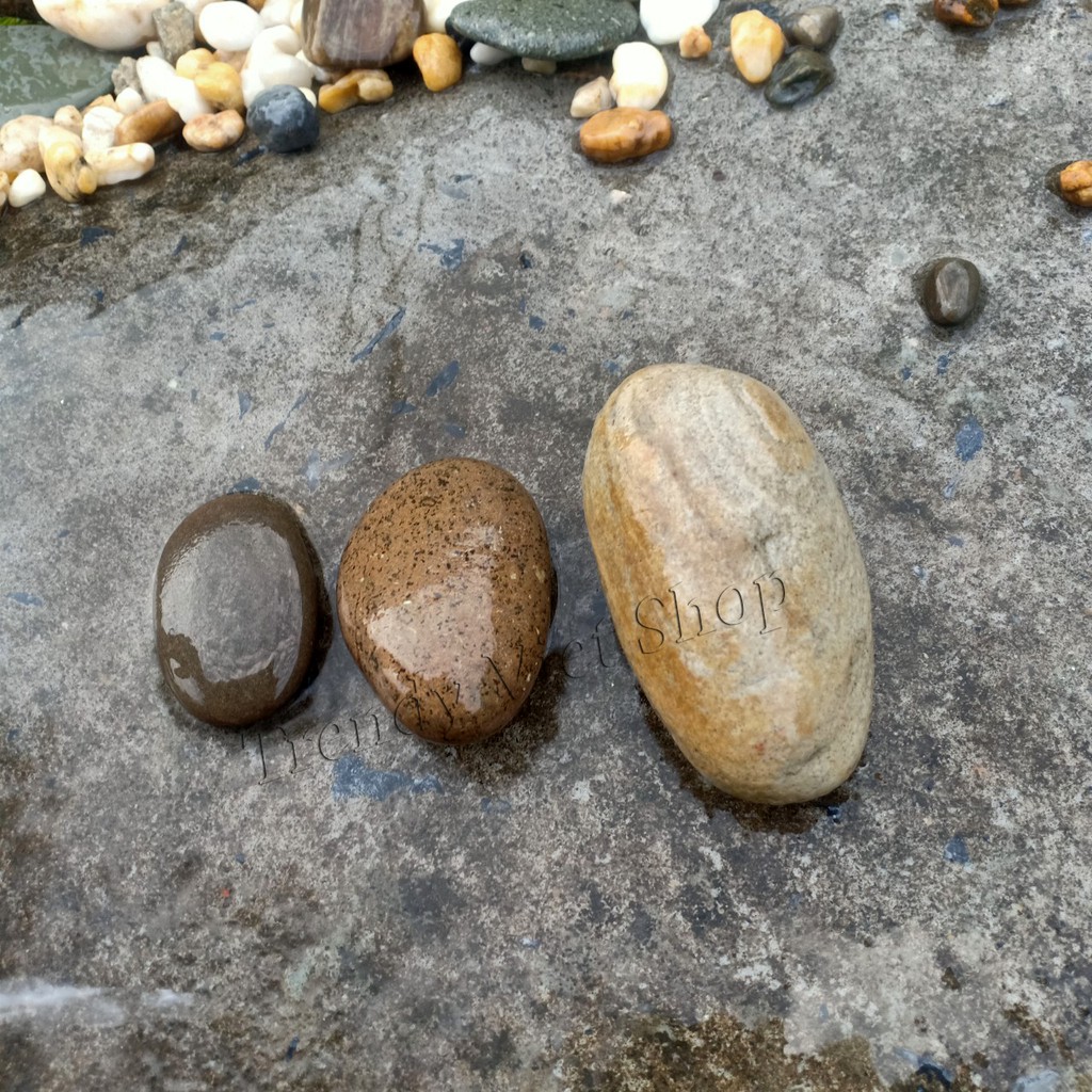 Đá Kì Tắm Tự Nhiên, Tẩy tế bào chết, Làm đẹp da | BigBuy360 - bigbuy360.vn