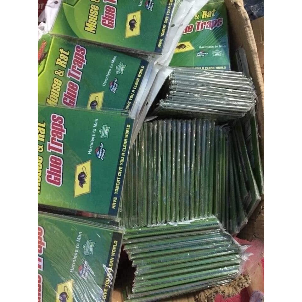 combo 3 miếng keo dính chuột