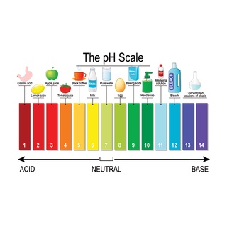 Bộ 3 gói bột pH dùng để hiệu chuẩn máy đo pH powder buffer