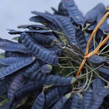 Bồ kết gác bếp (FB Vũ Thị Chi)