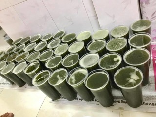 SƯƠNG SÂM LÔNG giống